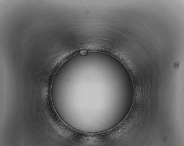 X0000095960208200801181453