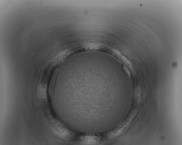 X0000095960209200801181453