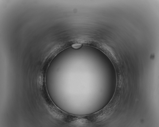 X0000095960210200801181453