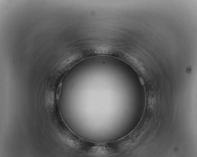 X0000095960211200801181453