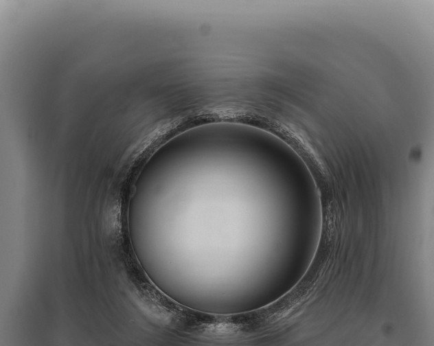 X0000095960212200801181453