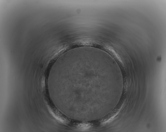 X0000095960213200801181453