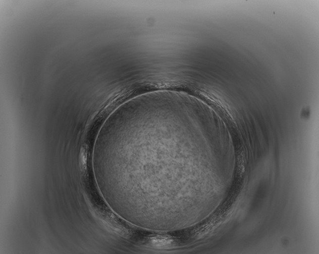 X0000095960214200801181453