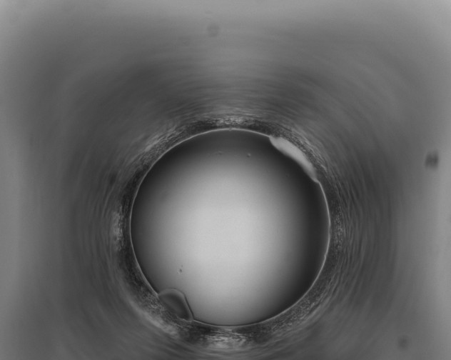 X0000095960215200801181453