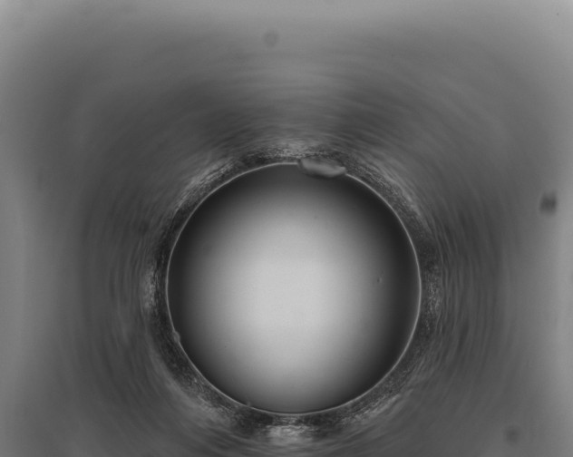 X0000095960216200801181453