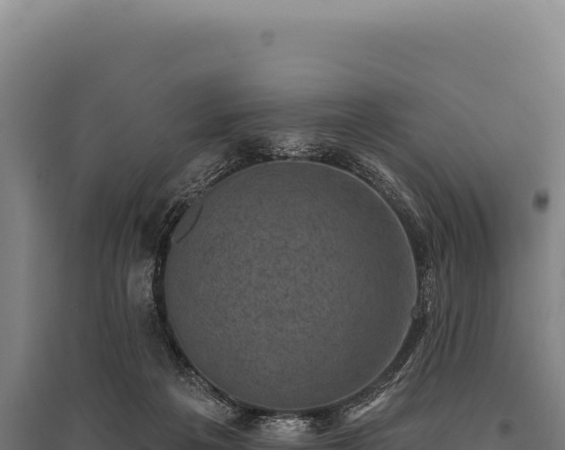 X0000095960217200801181453