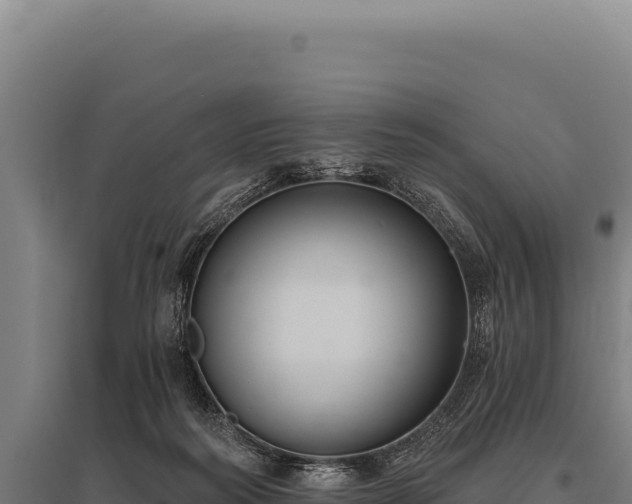 X0000095960218200801181453