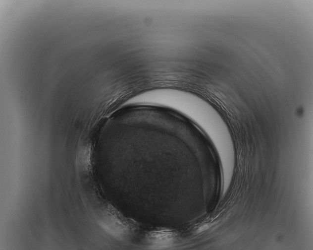 X0000095960219200801181453