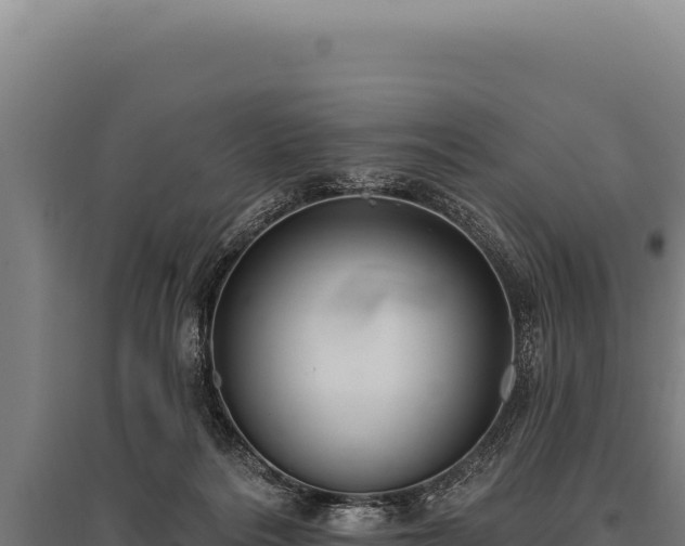 X0000095960220200801181453