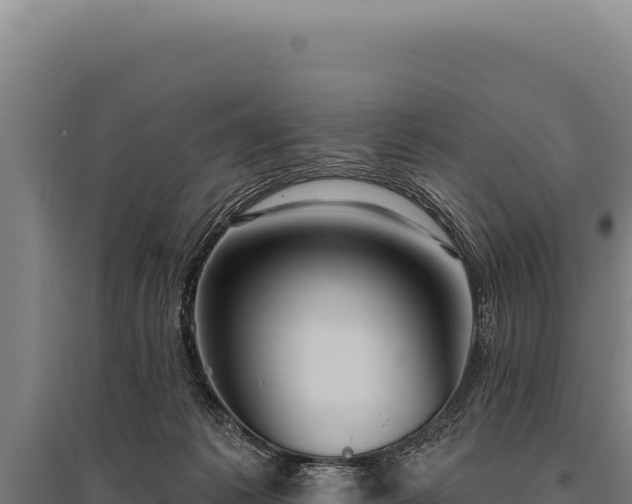 X0000095960221200801181453