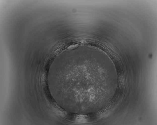 X0000095960222200801181453