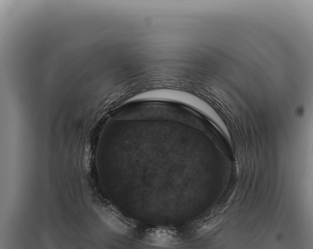 X0000095960223200801181453