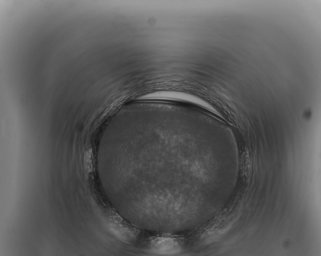 X0000095960224200801181453