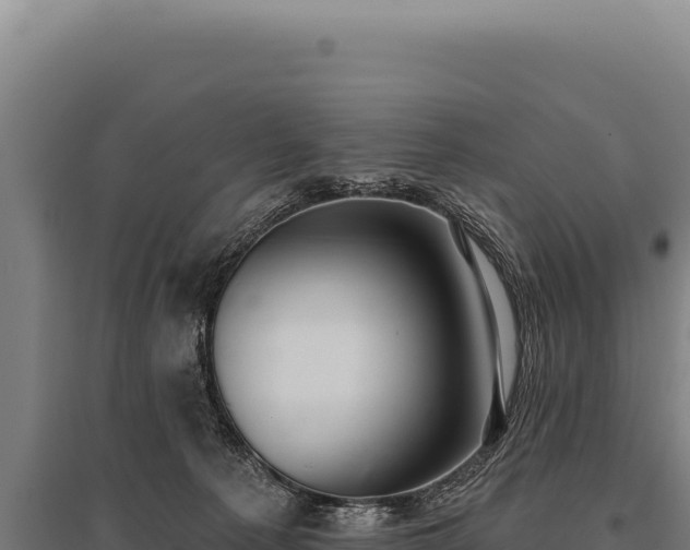 X0000095960225200801181453