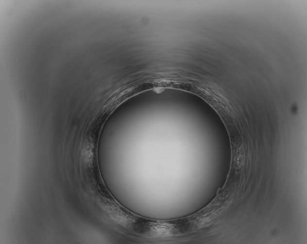 X0000095960226200801181453