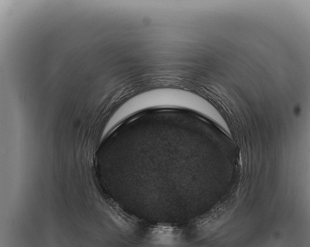 X0000095960227200801181453