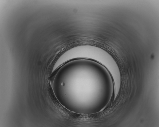 X0000095960228200801181453