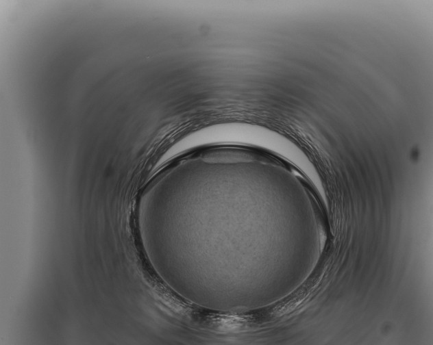 X0000095960229200801181452