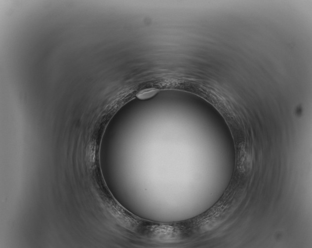 X0000095960230200801181452