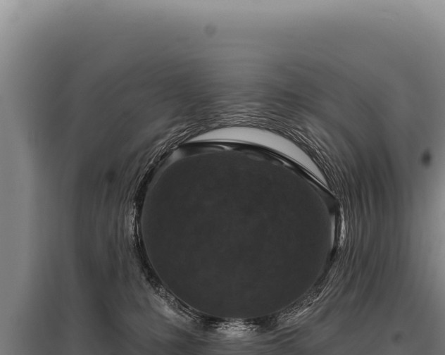 X0000095960231200801181452