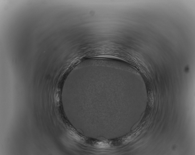 X0000095960232200801181452