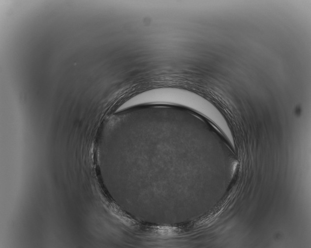 X0000095960233200801181452