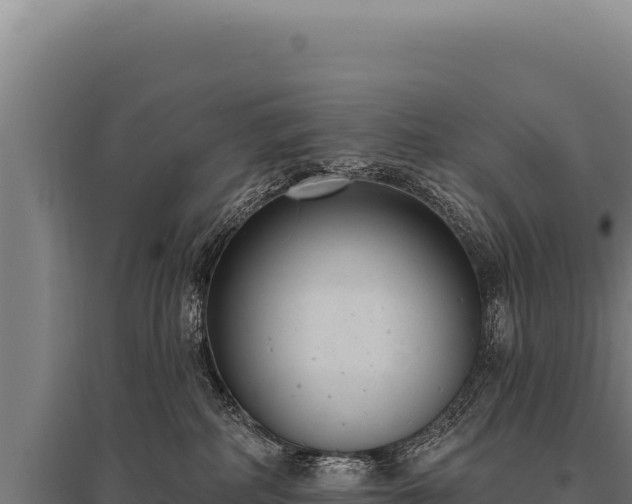 X0000095960234200801181452