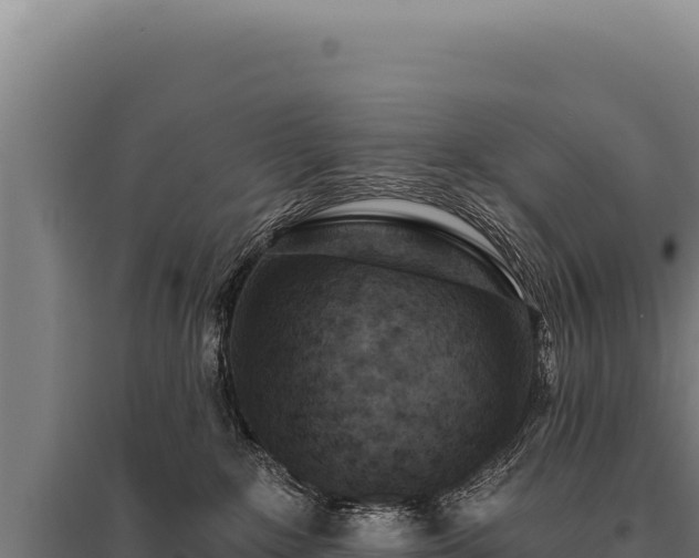 X0000095960235200801181452