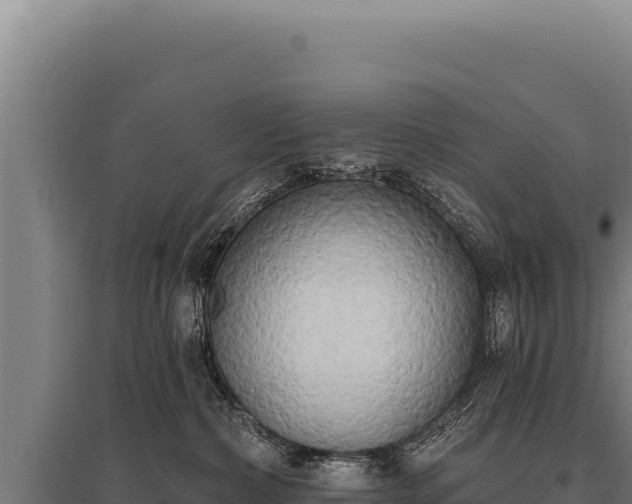 X0000095960236200801181452