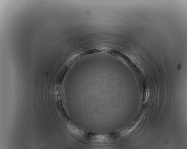 X0000095960237200801181452