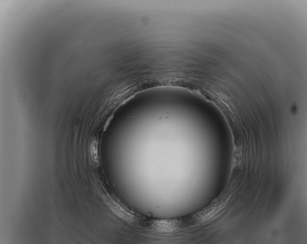 X0000095960238200801181452