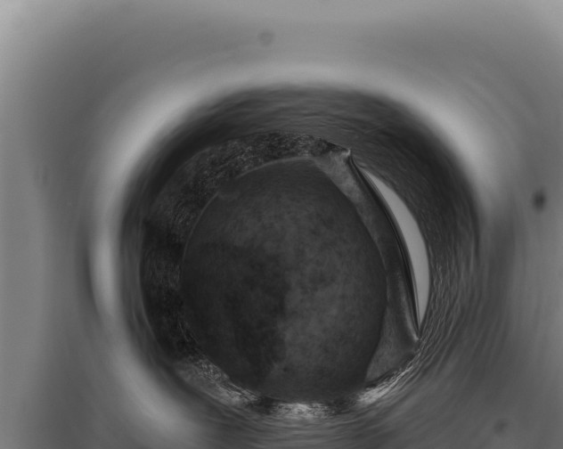 X0000095960239200801181452