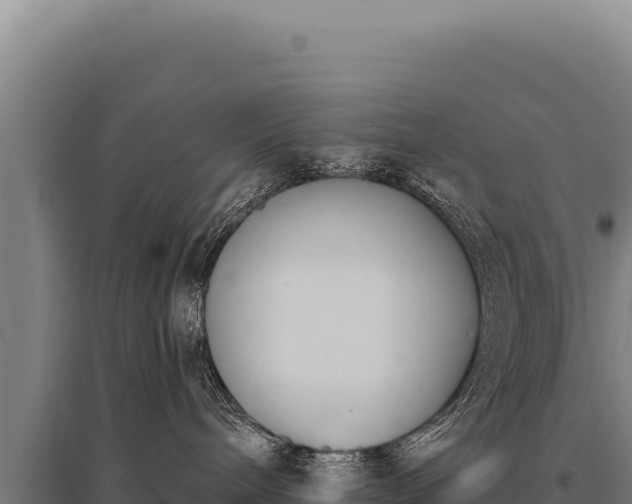 X0000095960240200801181452