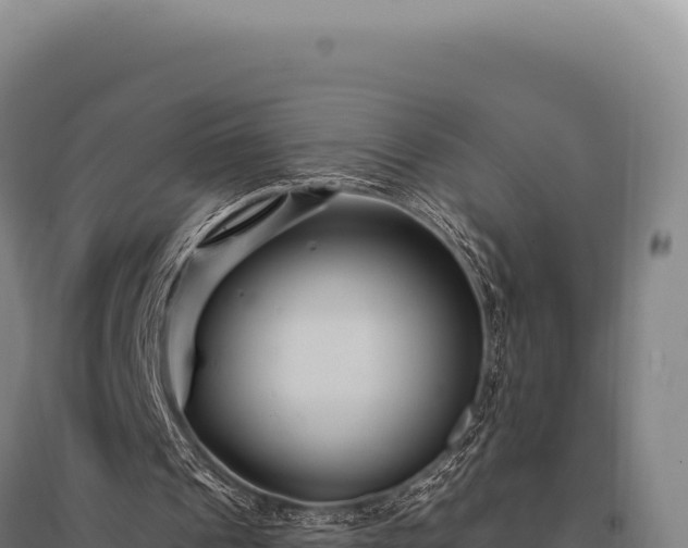 X0000095960241200801181451