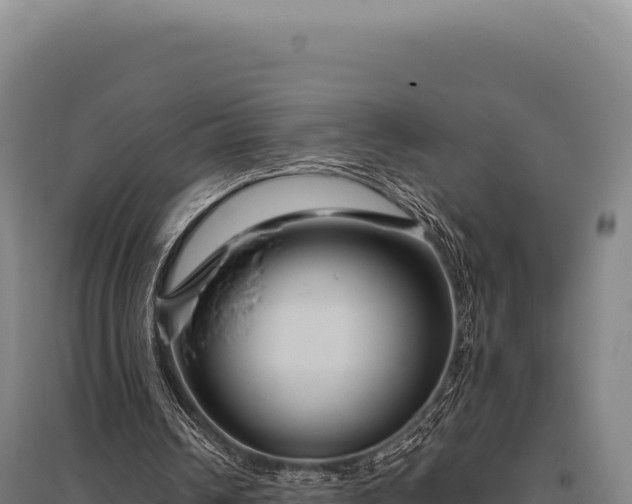 X0000095960242200801181451