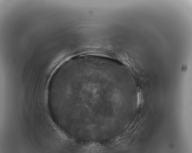 X0000095960243200801181451