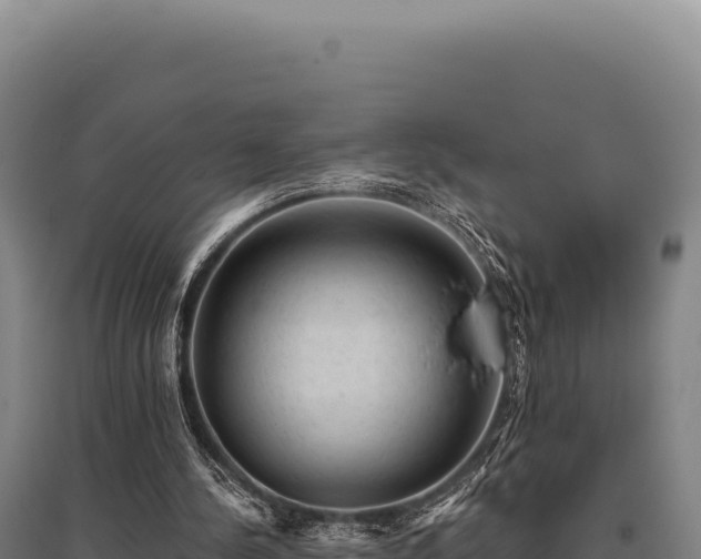 X0000095960244200801181452