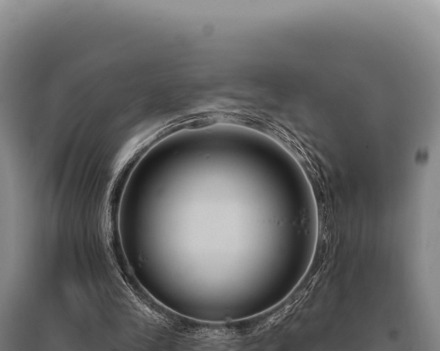 X0000095960245200801181452