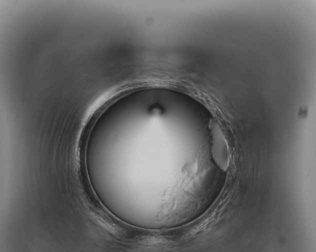 X0000095960246200801181452