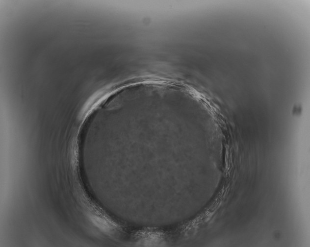 X0000095960247200801181452