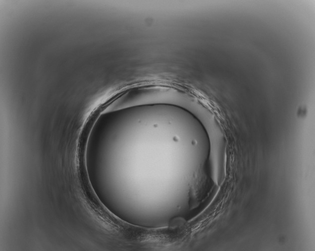 X0000095960248200801181452