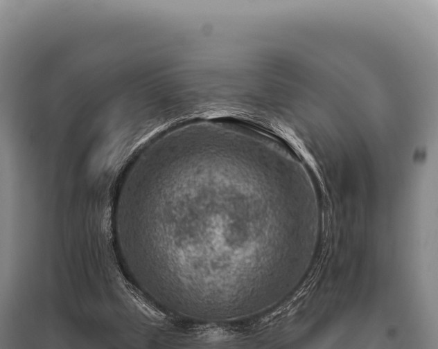 X0000095960249200801181452