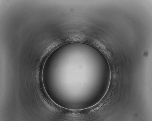 X0000095960250200801181452