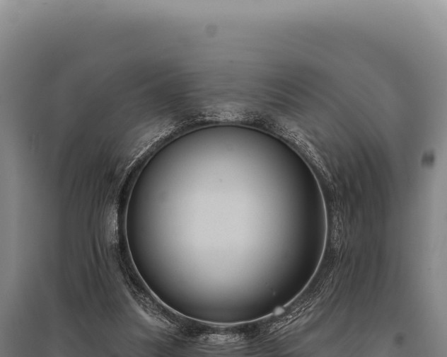 X0000095960251200801181452