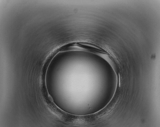 X0000095960252200801181452