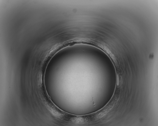 X0000095960253200801181452