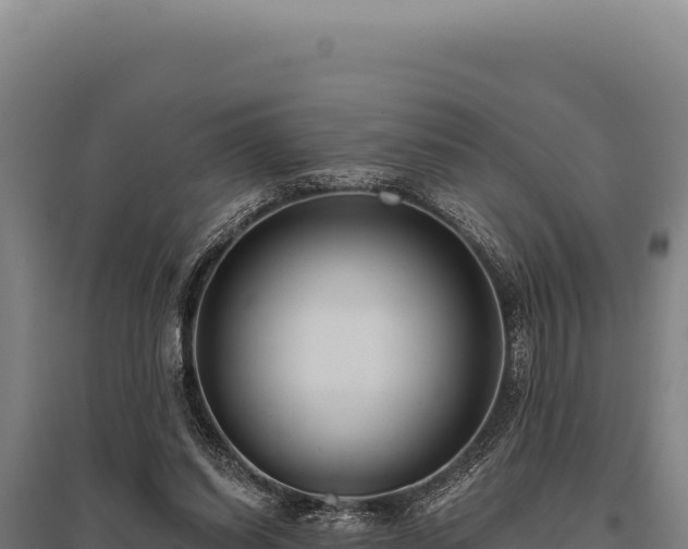 X0000095960254200801181452