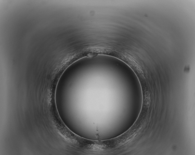 X0000095960255200801181452