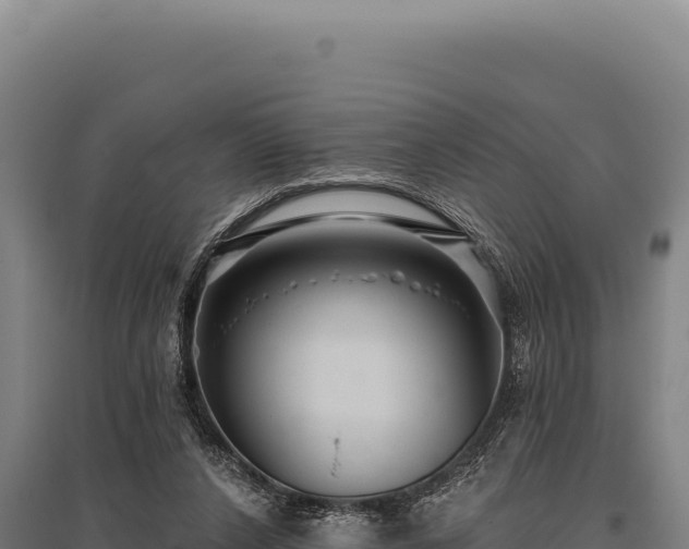 X0000095960256200801181452