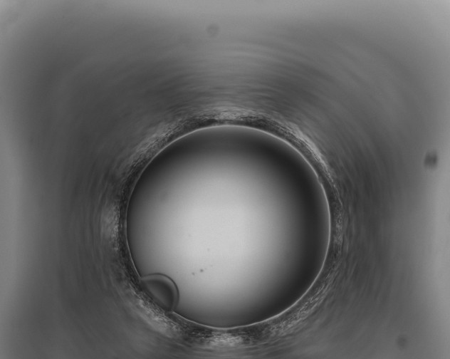 X0000095960257200801181452